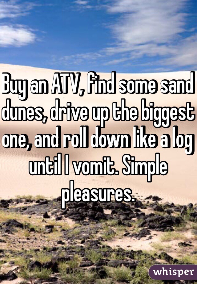 Buy an ATV, find some sand dunes, drive up the biggest one, and roll down like a log until I vomit. Simple pleasures. 