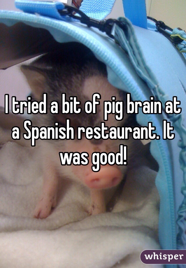 I tried a bit of pig brain at a Spanish restaurant. It was good!