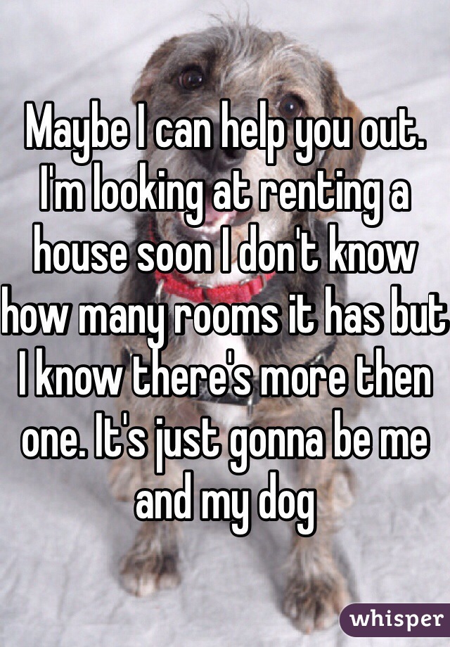 Maybe I can help you out. 
I'm looking at renting a house soon I don't know how many rooms it has but I know there's more then one. It's just gonna be me and my dog 