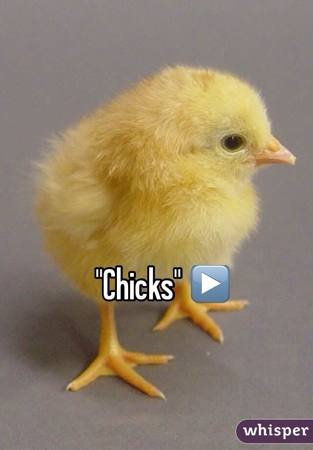 "Chicks" ▶️