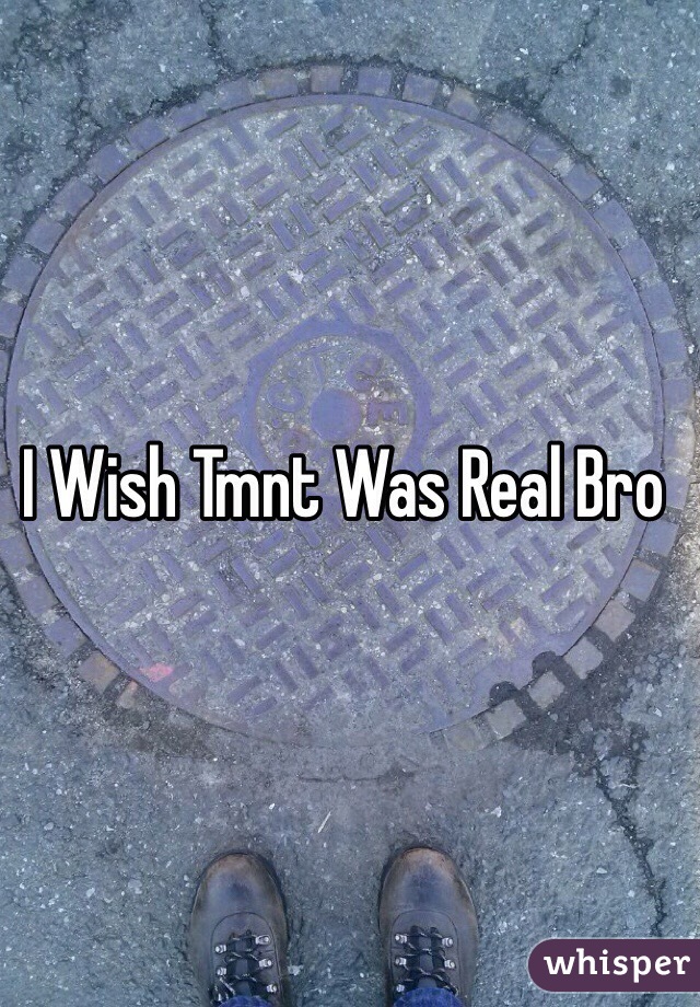 I Wish Tmnt Was Real Bro