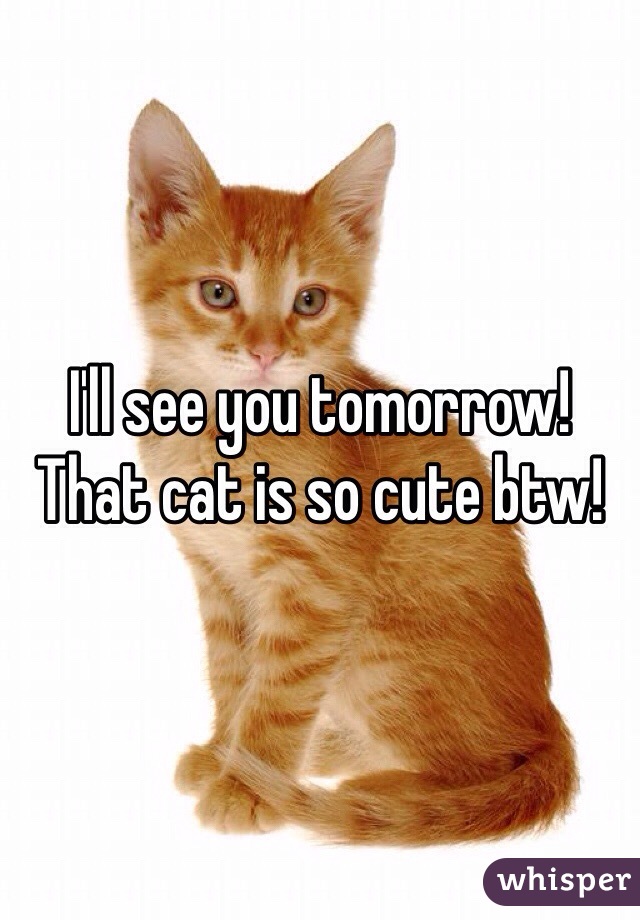 I'll see you tomorrow! That cat is so cute btw! 