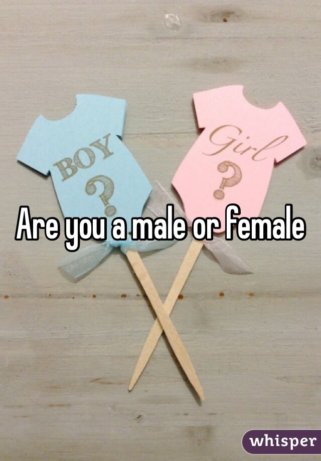 Are you a male or female