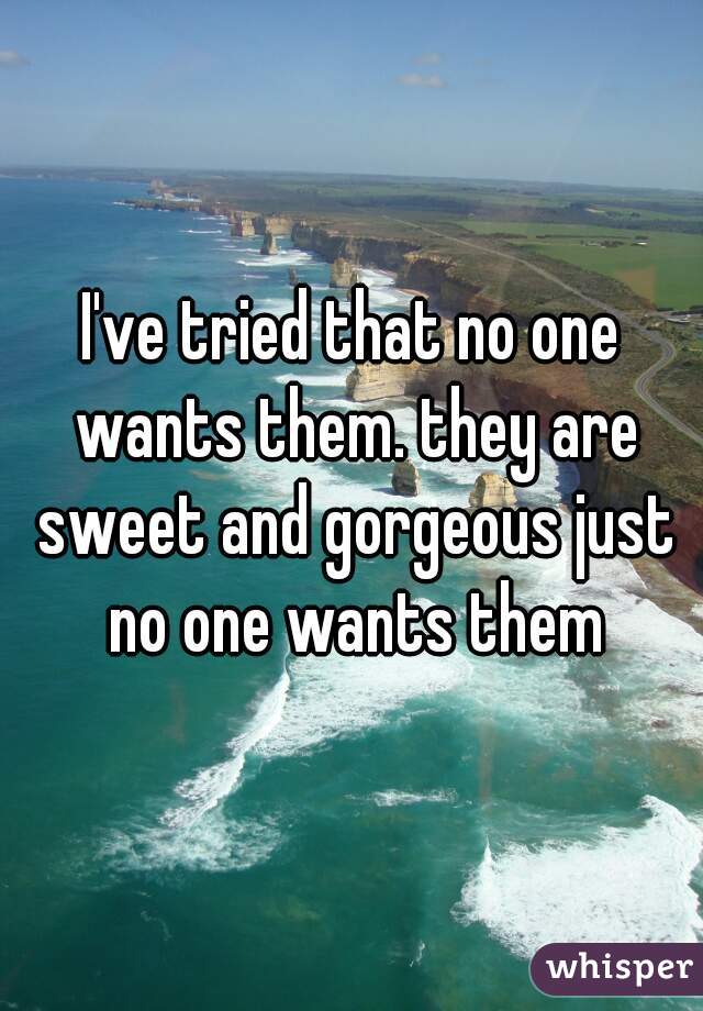 I've tried that no one wants them. they are sweet and gorgeous just no one wants them