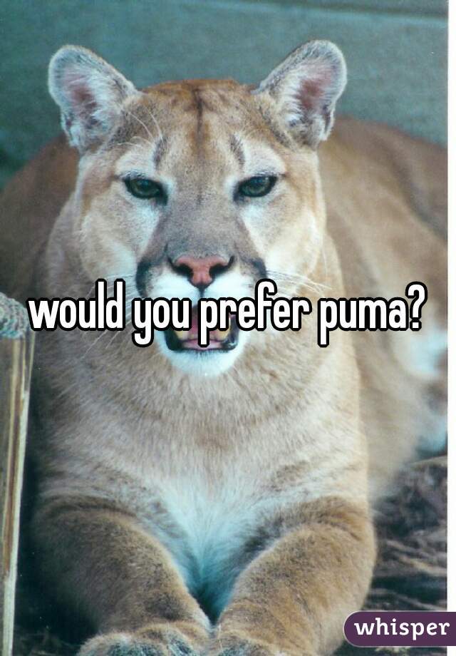 would you prefer puma?