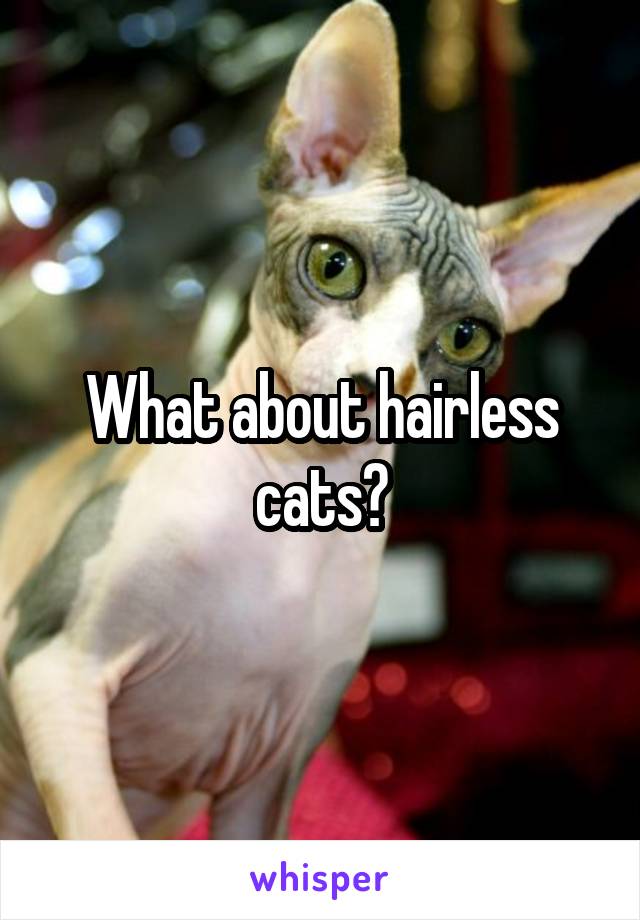 What about hairless cats?