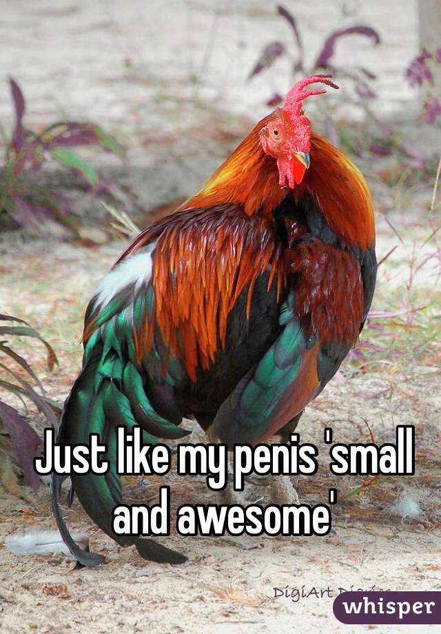 Just like my penis 'small and awesome'