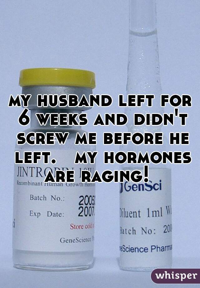 my husband left for 6 weeks and didn't screw me before he left.   my hormones are raging!  