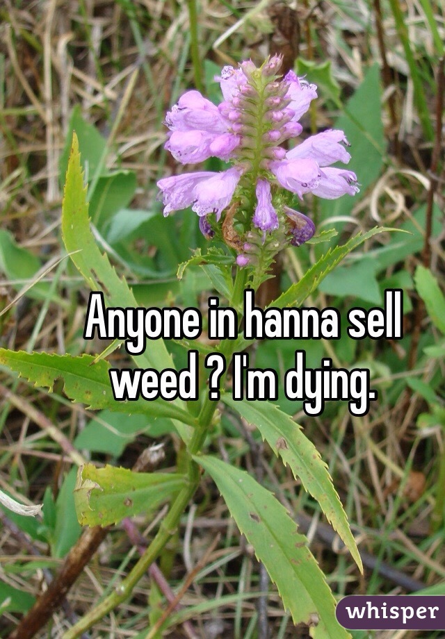 Anyone in hanna sell weed ? I'm dying. 