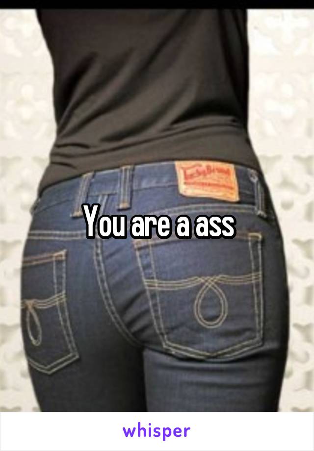 You are a ass