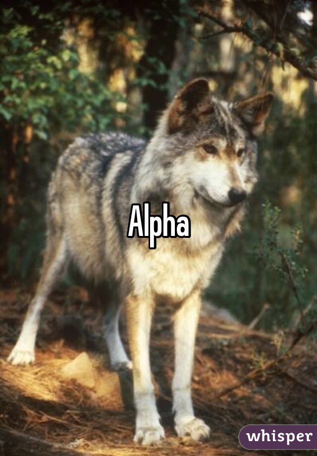 Alpha 