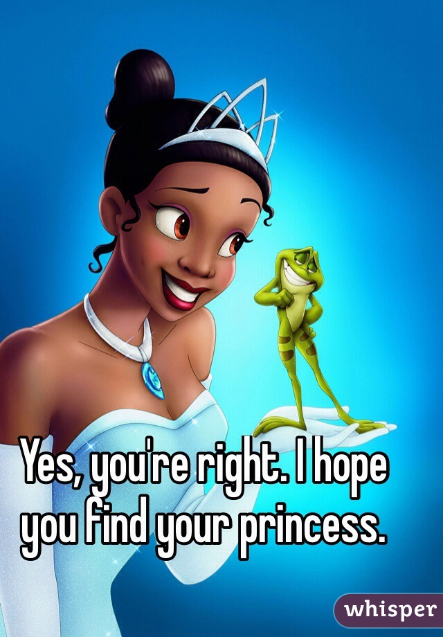 Yes, you're right. I hope you find your princess. 
