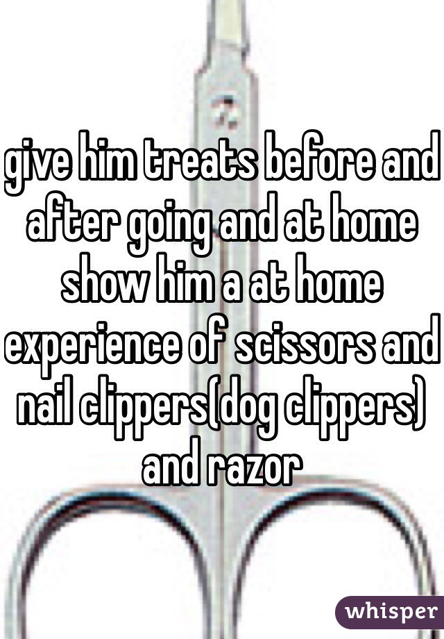 give him treats before and after going and at home show him a at home experience of scissors and nail clippers(dog clippers) and razor  