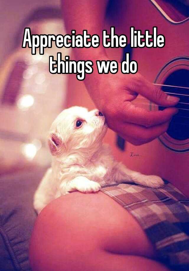 appreciate-the-little-things-we-do