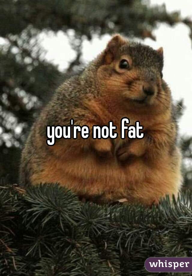 you're not fat
