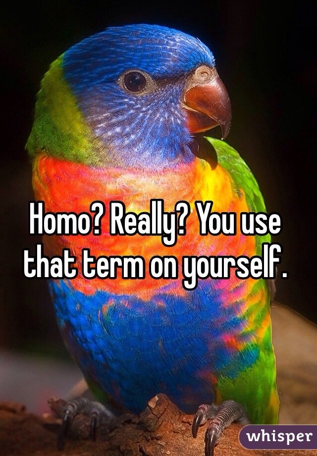Homo? Really? You use that term on yourself.