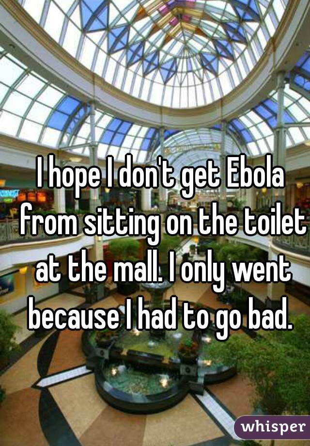 I hope I don't get Ebola from sitting on the toilet at the mall. I only went because I had to go bad. 