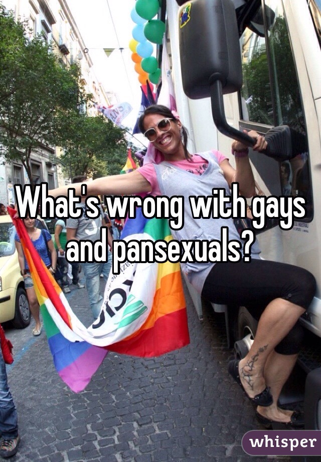 What's wrong with gays and pansexuals?