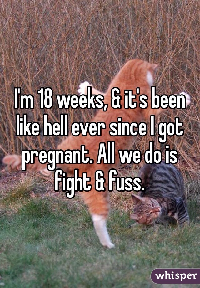 I'm 18 weeks, & it's been like hell ever since I got pregnant. All we do is fight & fuss. 