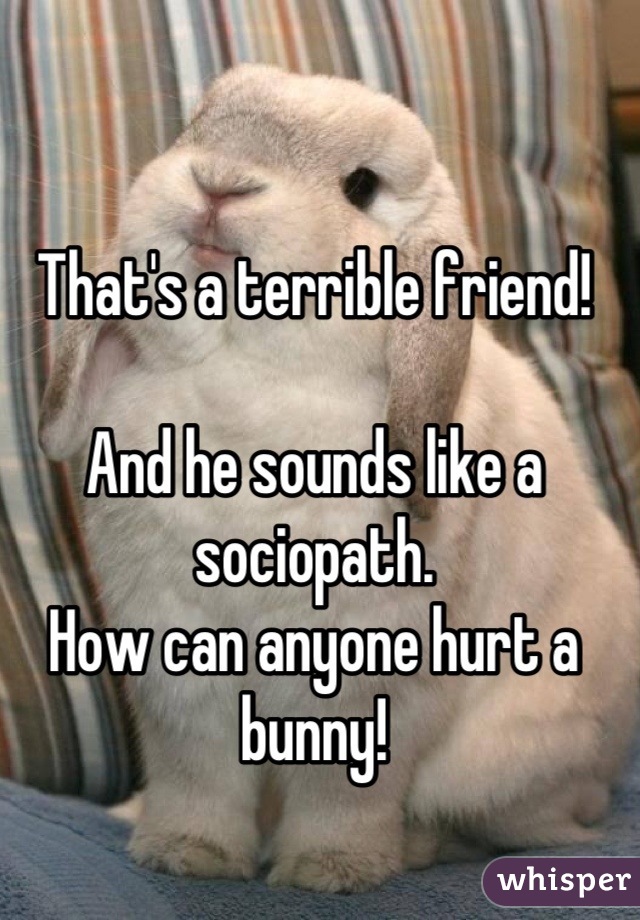 That's a terrible friend! 

And he sounds like a sociopath.
How can anyone hurt a bunny!
