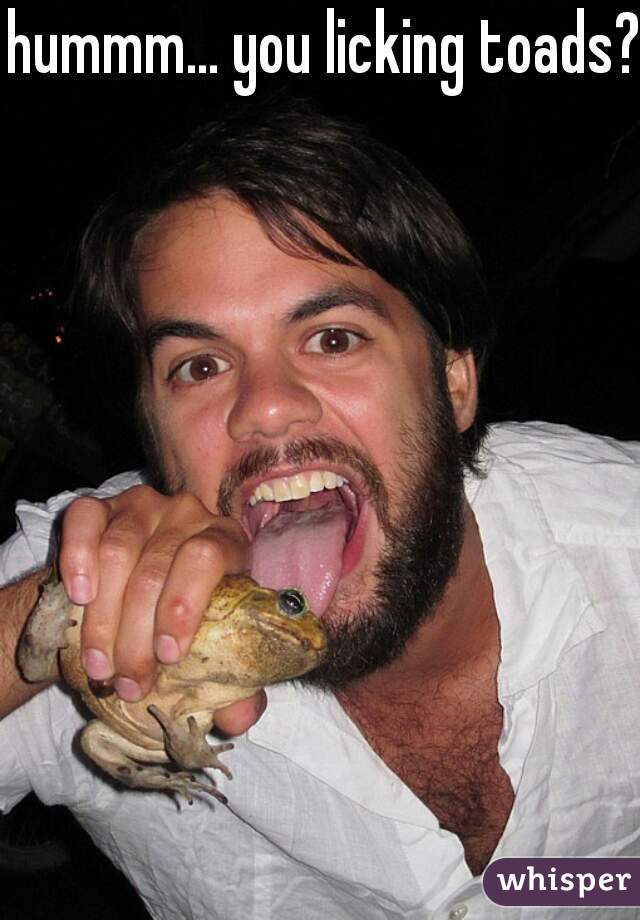 hummm... you licking toads?!