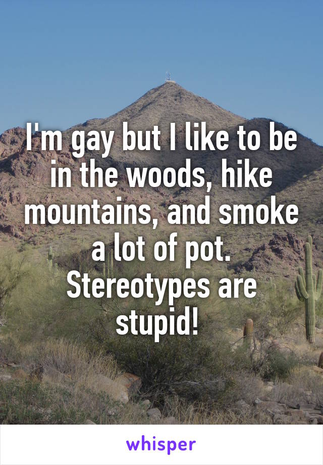 I'm gay but I like to be in the woods, hike mountains, and smoke a lot of pot. Stereotypes are stupid! 