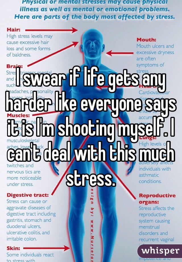 I swear if life gets any harder like everyone says it is I'm shooting myself. I can't deal with this much stress.