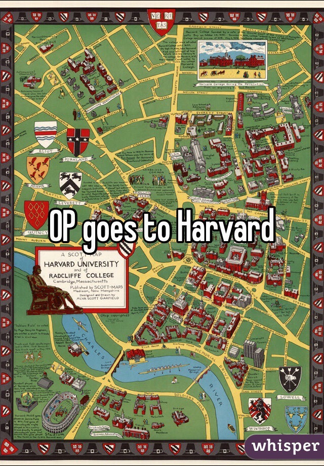 OP goes to Harvard