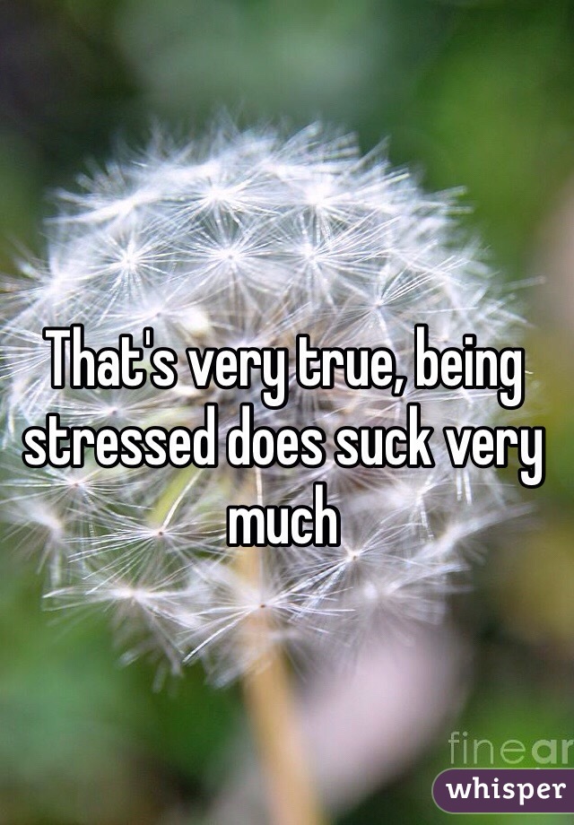 That's very true, being stressed does suck very much