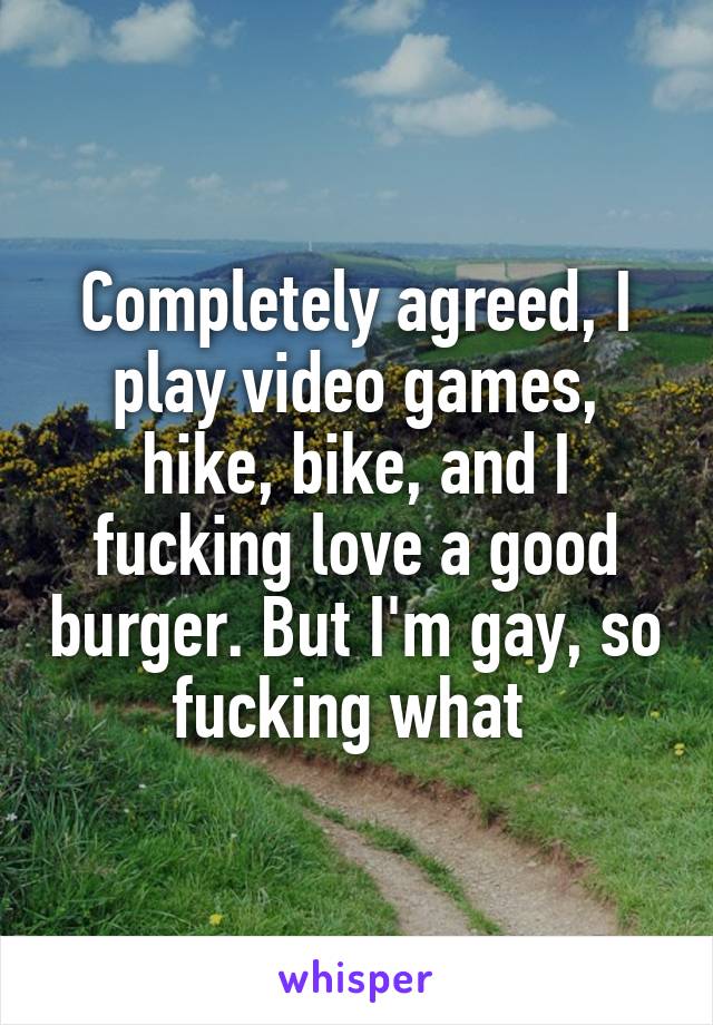 Completely agreed, I play video games, hike, bike, and I fucking love a good burger. But I'm gay, so fucking what 