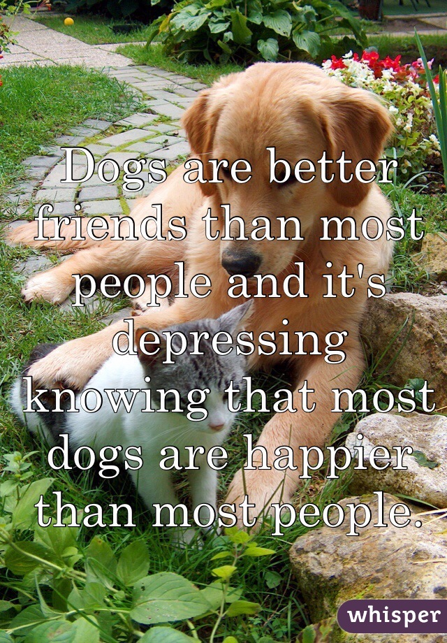 Dogs are better friends than most people and it's depressing knowing that most dogs are happier than most people. 