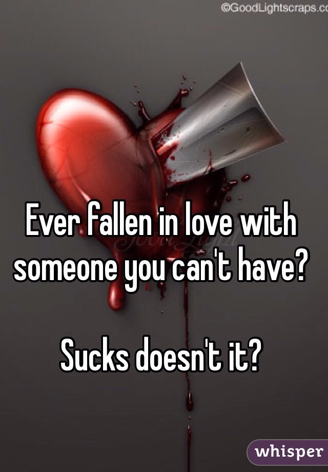 Ever fallen in love with someone you can't have? 

Sucks doesn't it?