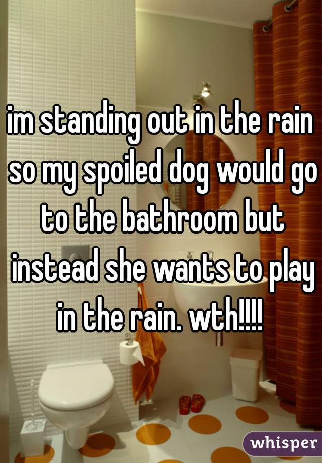 im standing out in the rain so my spoiled dog would go to the bathroom but instead she wants to play in the rain. wth!!!! 