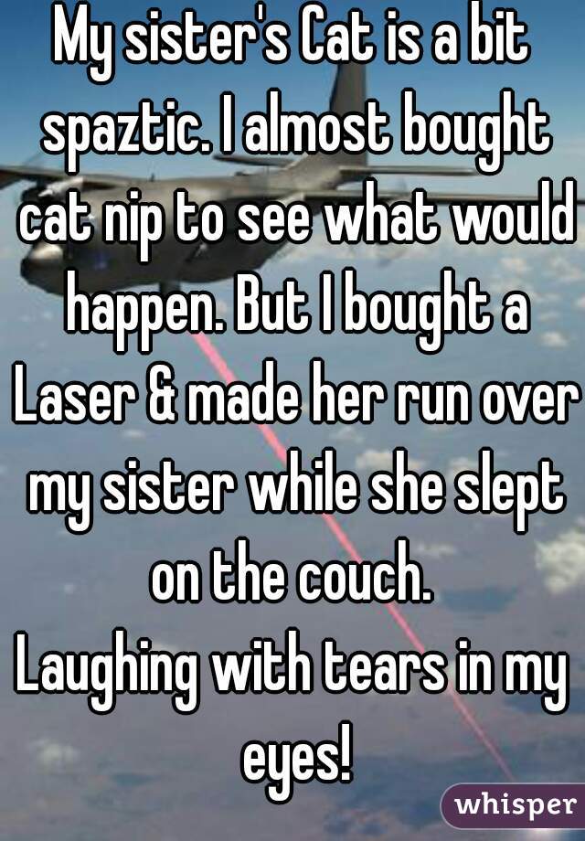 My sister's Cat is a bit spaztic. I almost bought cat nip to see what would happen. But I bought a Laser & made her run over my sister while she slept on the couch. 
Laughing with tears in my eyes!
