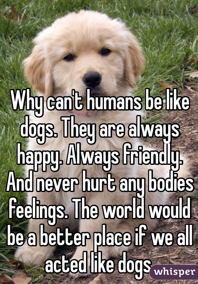 Why can't humans be like dogs. They are always happy. Always friendly. And never hurt any bodies feelings. The world would be a better place if we all acted like dogs.