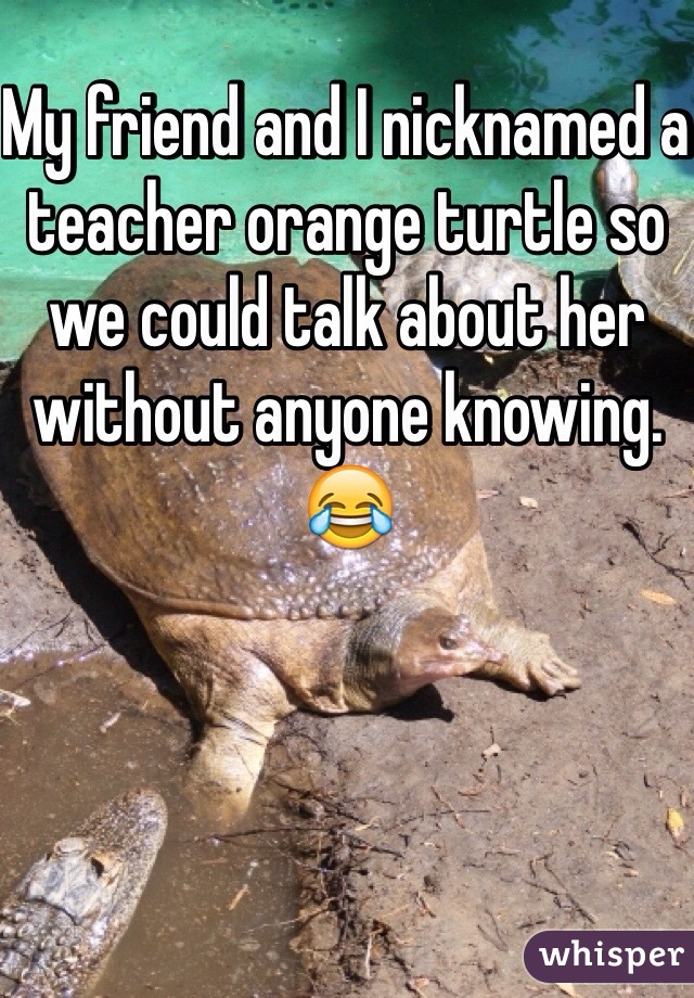 My friend and I nicknamed a teacher orange turtle so we could talk about her without anyone knowing. 😂