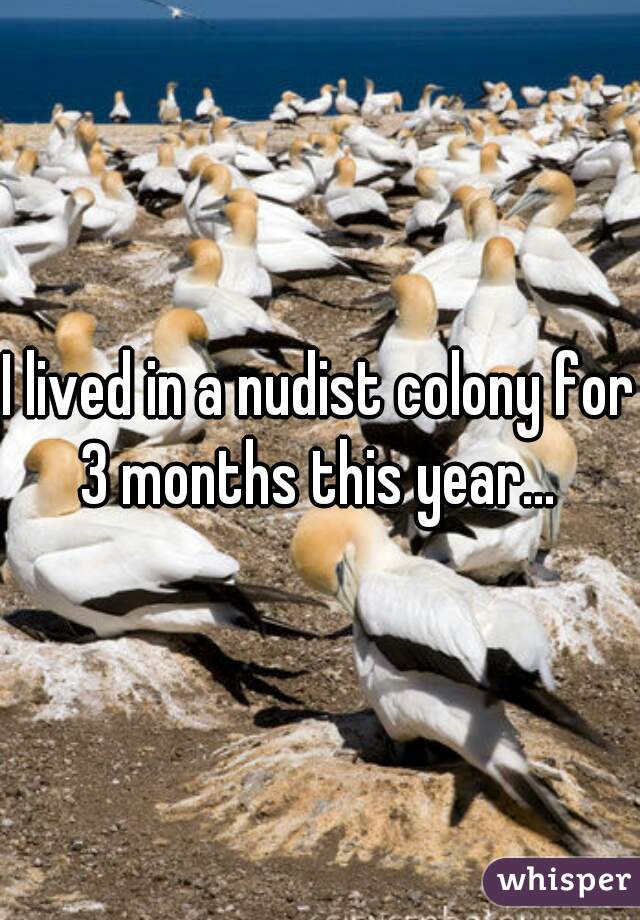 I lived in a nudist colony for 3 months this year... 