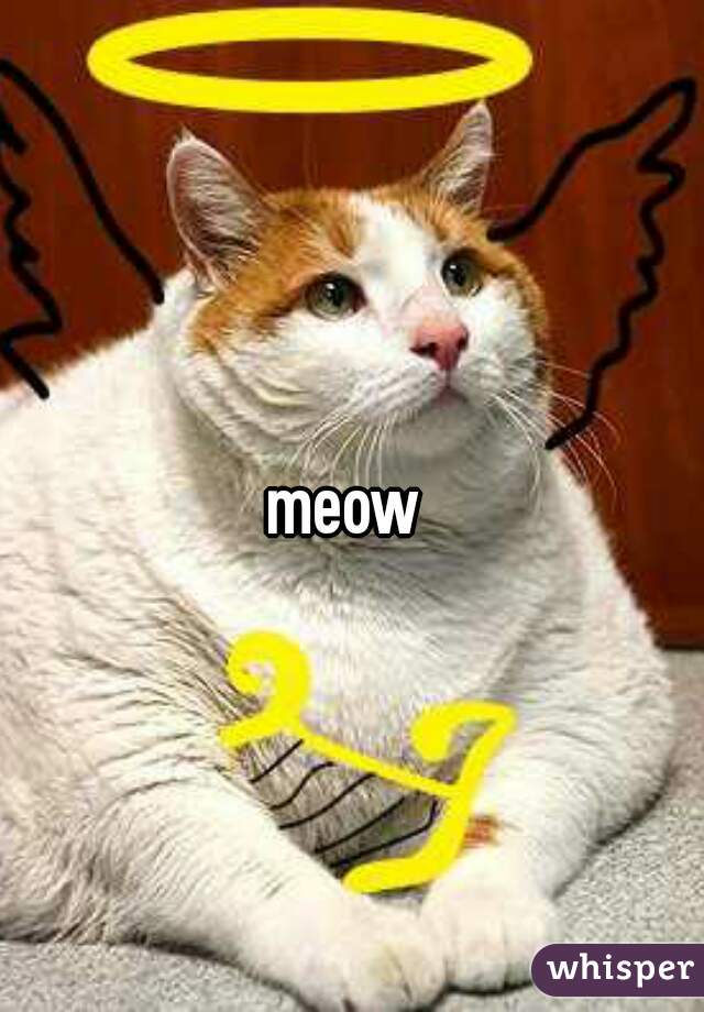 meow 