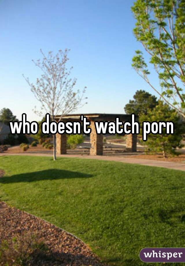 who doesn't watch porn
