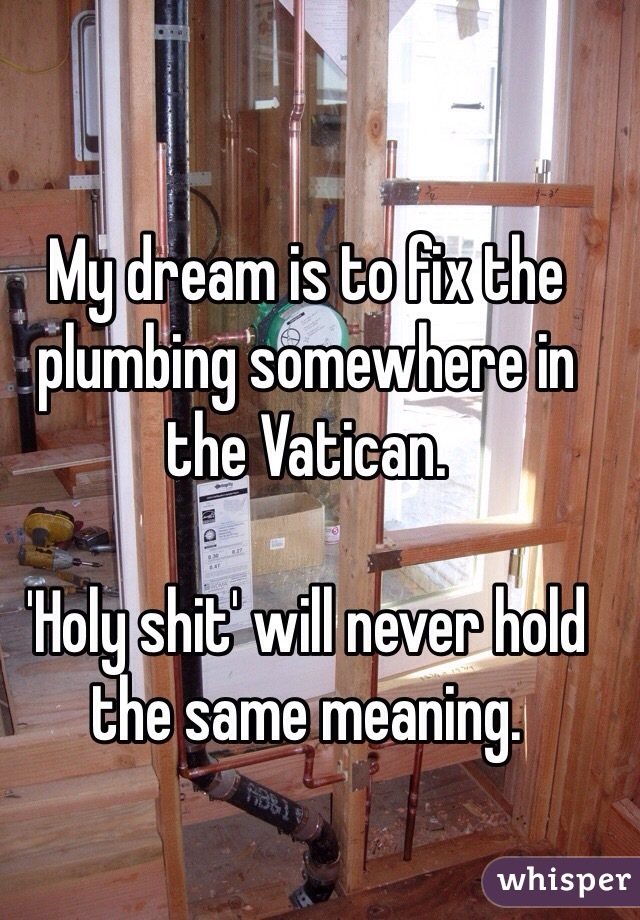 My dream is to fix the plumbing somewhere in the Vatican. 

'Holy shit' will never hold the same meaning.