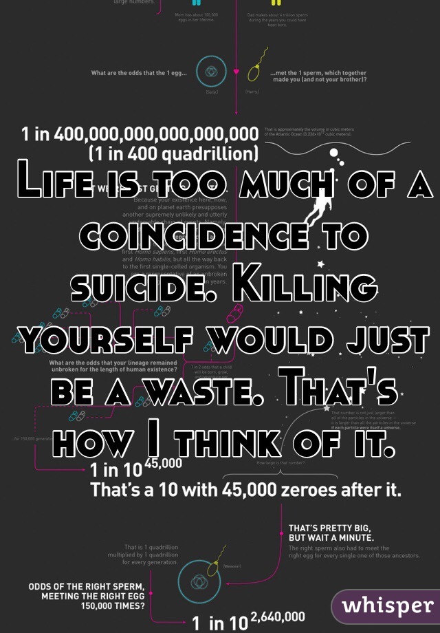 Life is too much of a coincidence to suicide. Killing yourself would just be a waste. That's how I think of it. 