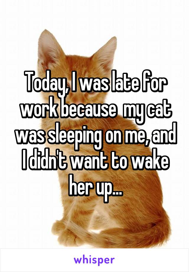 Today, I was late for work because  my cat was sleeping on me, and I didn't want to wake her up...