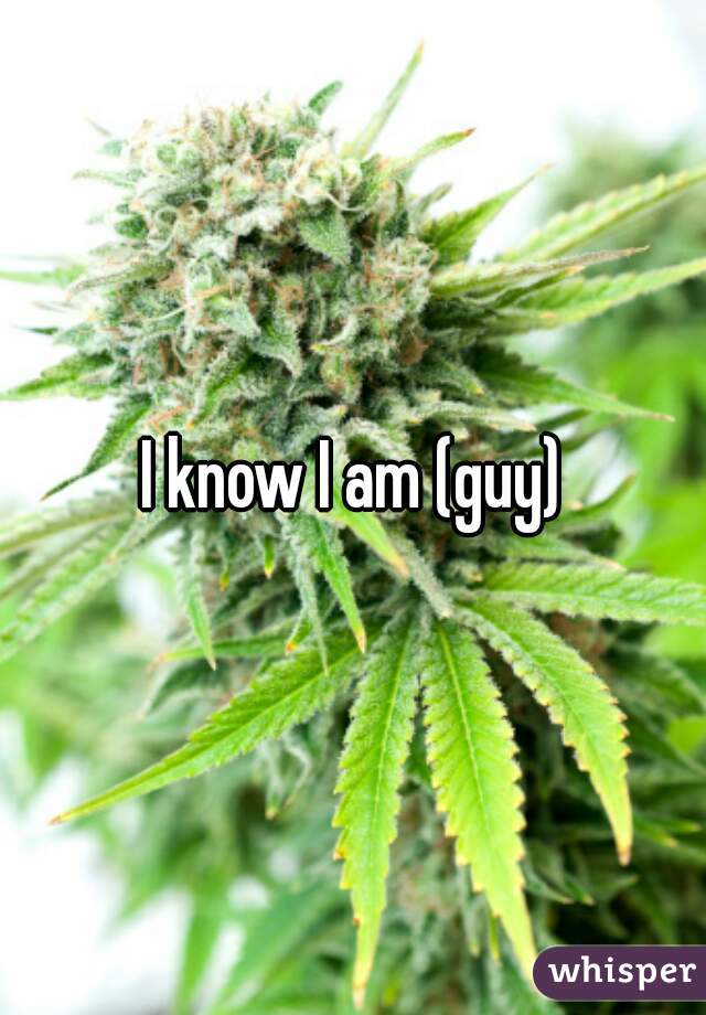 I know I am (guy)