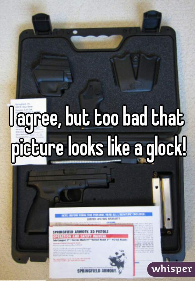 I agree, but too bad that picture looks like a glock!