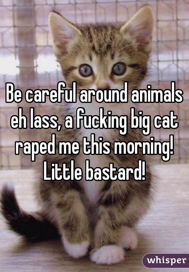 Be careful around animals eh lass, a fucking big cat raped me this morning! Little bastard!