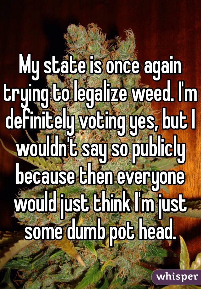 My state is once again trying to legalize weed. I'm definitely voting yes, but I wouldn't say so publicly because then everyone would just think I'm just some dumb pot head. 