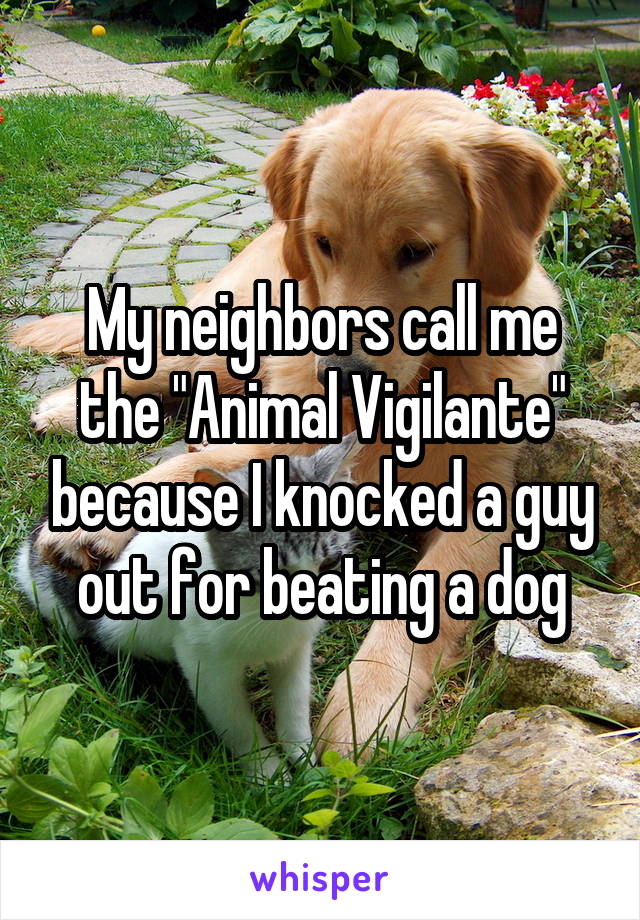 My neighbors call me the "Animal Vigilante" because I knocked a guy out for beating a dog