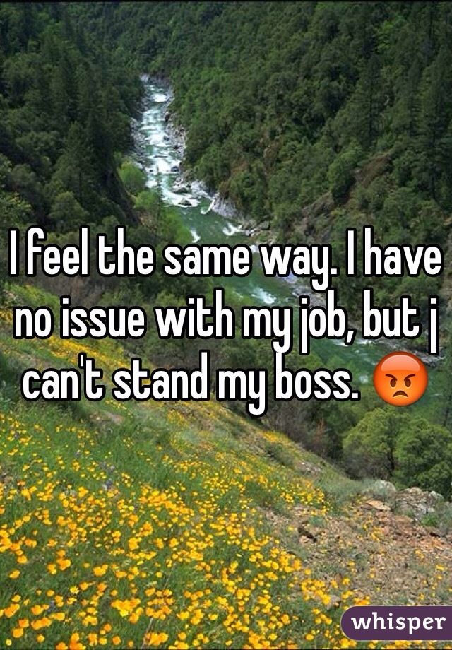 I feel the same way. I have no issue with my job, but j can't stand my boss. 😡