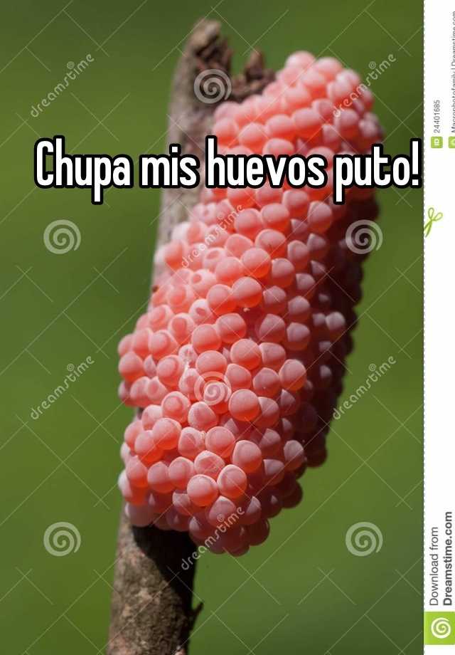 chupa-mis-huevos-puto