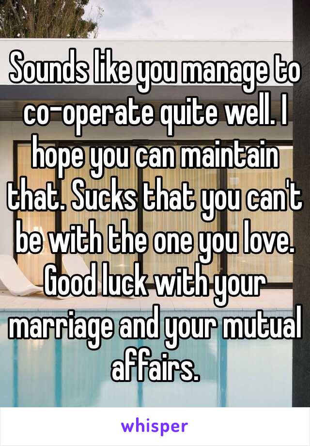 Sounds like you manage to co-operate quite well. I hope you can maintain that. Sucks that you can't be with the one you love. Good luck with your marriage and your mutual affairs. 